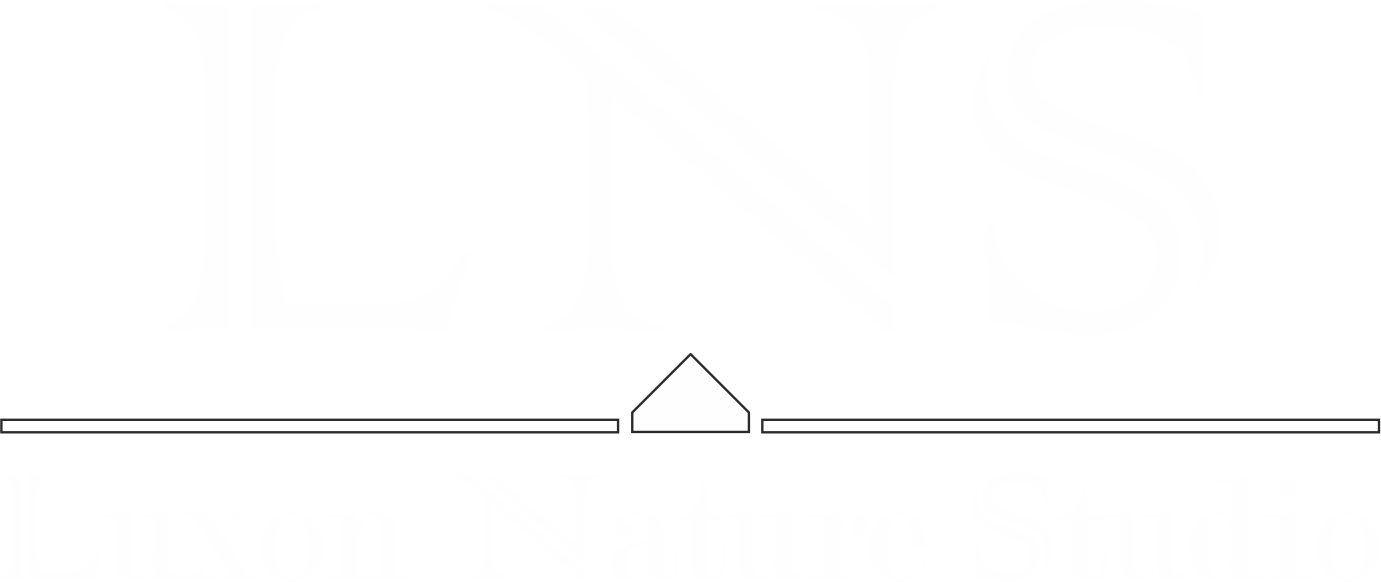 luxonnaturestudio.com